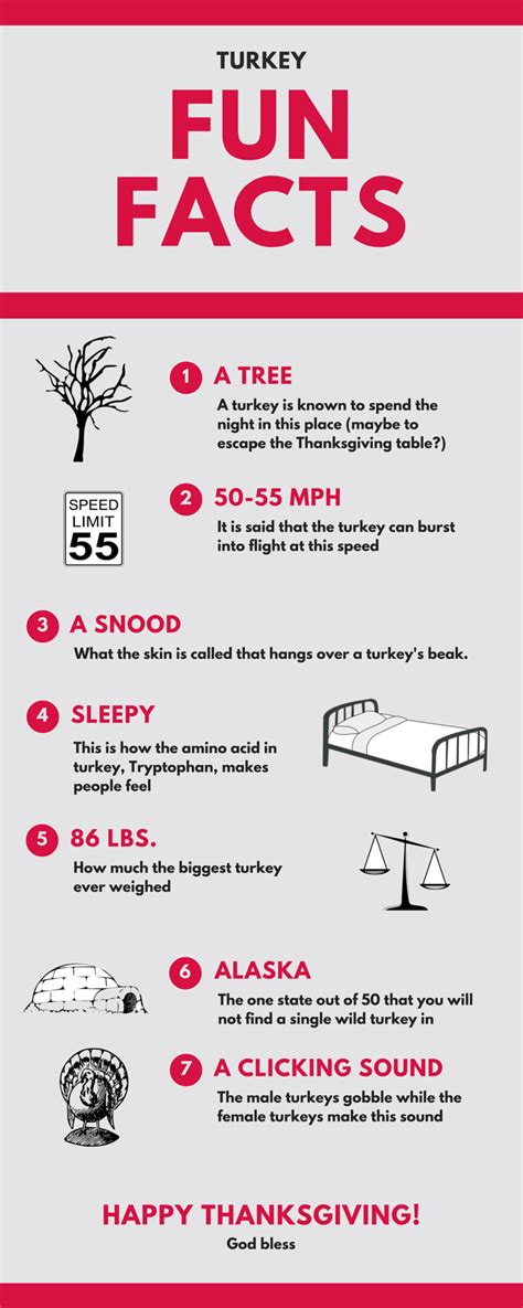 fun facts   turkey infographic  heart  god