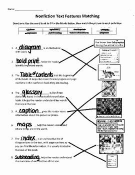 text features worksheet