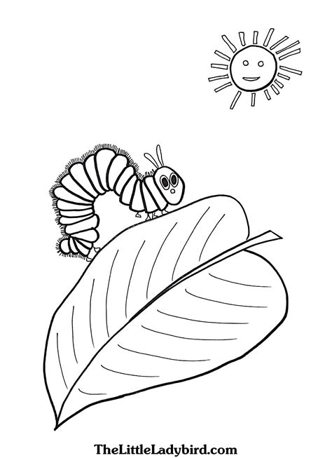 hungry caterpillar coloring page inspirational  coloring