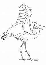 Coloring Egret Bird Great Egrets Drawing Pages Water Birds Bestcoloringpages Drawings Getdrawings Designlooter sketch template