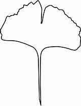 Leaf Ginkgo Clip Clipart Outline Leaves Gingko Tree Shape Cliparts Coloring Svg Template Maple Oak Clker Evolution Vector Clipartbest Apple sketch template