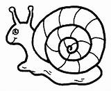 Snail Melc Schnecke Ausmalbild Colorat Malvorlagen Escargot Slug Planse Disegni Desene Kostenlos Snails Caracol Lumaca Flowers Kinderbilder Niedliche Slugs Imagini sketch template