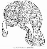 Coloring Manatee Pages Printable Getcolorings sketch template