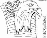 Eagle Coloring Bald Pages Eagles Printable Easy Drawing Flying Philadelphia Adults Harpy Color Logo Getcolorings Getdrawings Adult Colorings Realistic sketch template