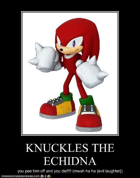 Knuckles The Echidna Cheezburger Funny Memes Funny