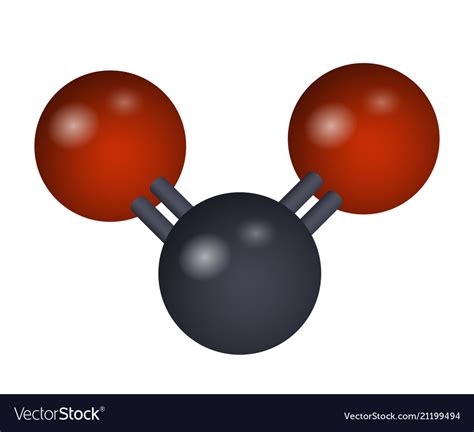 molecule  carbon dioxide royalty  vector image