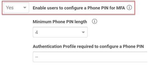 enable phone pin