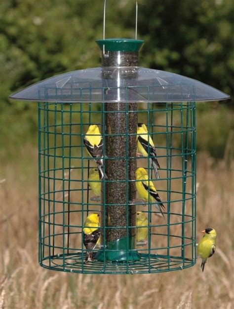 pin  krista sanders  garden ideas bird feeders finches bird yellow finch