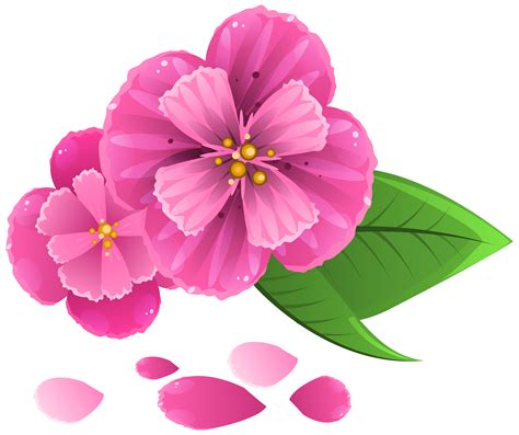 flower petals falling animation png