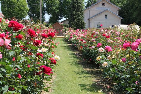 musee de la rose tourisme