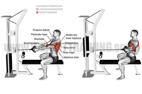 straight  seated cable row exercise instructions  video weight training guide