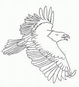 Coloring Eagle Pages Fly Animal sketch template