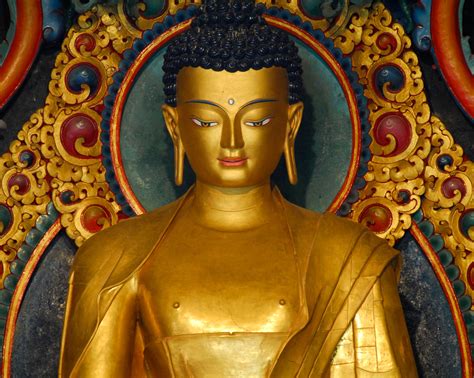 basics  buddhism   buddhism meditation mind enlightenment