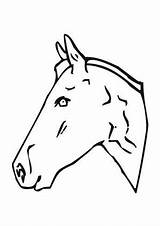 Pferdekopf Ausmalbilder Pferde Ausmalen Ausmalbild Ausdrucken Vorlage Pferd Malvorlagen sketch template