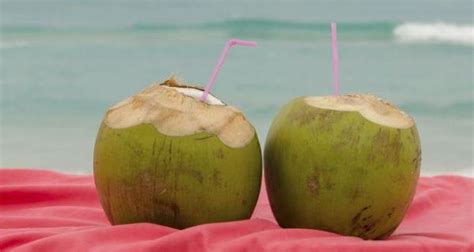 should pregnant women drink coconut water read health related blogs