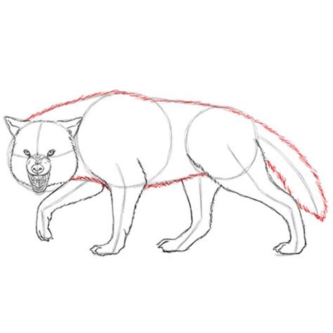 howdrawanimals   draw wolf   tutorial