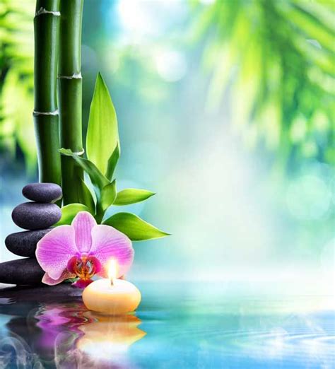 image associee imagenes de spa logotipo de masaje imagenes relajantes