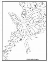 Fee Elfe Malvorlage Ausmalbilder Feen Elfen Schmetterlingen sketch template