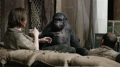 weekend box office planet of the apes dawns again in