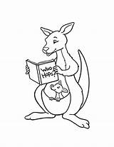 Kangaroo Kangur Kolorowanki Australien Dzieci Pobrania Tui Mau Kangaroos Bestcoloringpagesforkids Clip Seite sketch template