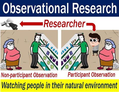 observational research definition  meaning market business news