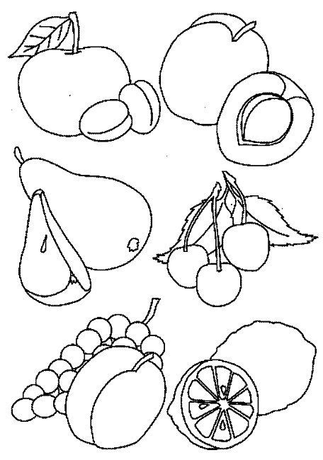 summer fruit coloring pages fruit coloring pages