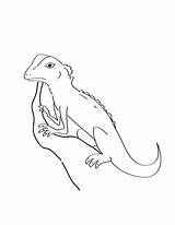 Coloring Lizard Pages Printable Kids sketch template