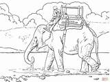 Printable Elefant Reiten Ausmalbilder Elephants Elefanten sketch template