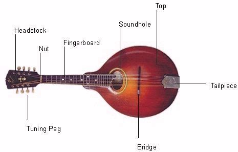 parts   ukulele