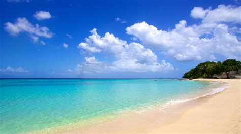 Playa Paradise En Bridgetown Expedia