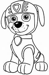 Patrol Paw Coloring Pages Nickelodeon Zuma Nick Jr Top sketch template
