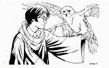 Harry Potter Coloring Pages Owl Easy Quidditch Hedwig Belajar Berbagi Bersama Ilmu Print Csad Divyajanani Book Kiválasztása Tábla November sketch template