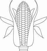 Coloring Corn Activity Pages Fun Real Cute Kids sketch template