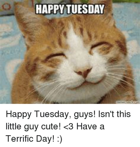 happy tuesday happy tuesday guys isn t this little guy cute