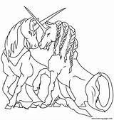 Unicornio Enamorado Unicorni Unicorns Mewarnai Unicornios Terbaik Stampare Momjunction sketch template