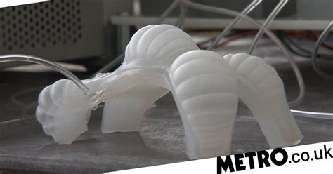 Nasa Unleashes Weird Soft Robots Which Look Like Alien Sex Toys