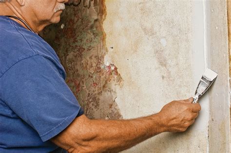 repair plaster walls   easy steps   house