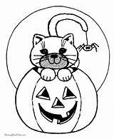 Halloween Coloring Pages Cat Print Printable Pumpkins Kids Pumpkin Animals Witch Color Sheets Sheet Spider Cute Spiders Fall Printables Easy sketch template