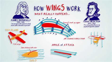 wings  work youtube