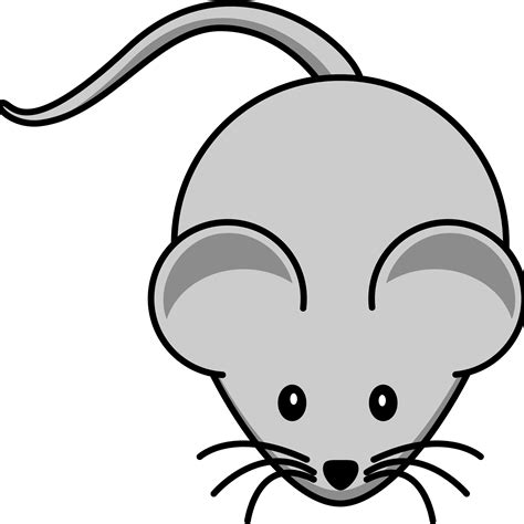 mouse clipart transparent png stickpng