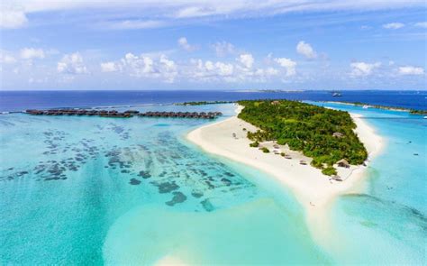 paradise island resort  spa  maldives islands room deals