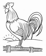 Rooster Coloring Pages Printable Roosters Print Kids Color Bird Cartoon Funny Colouring Clipart Chicken Realistic Book Drawings Template Farm Year sketch template