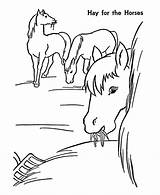 Horses Pferd Ausmalbilder Seite Coloringhome sketch template