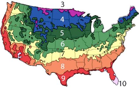 usda plant hardiness zone map images   finder