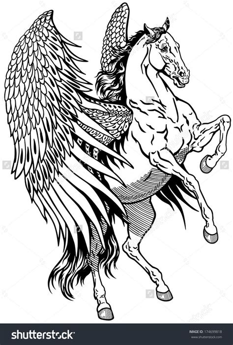 white pegasus mythological winged horse black  white tattoo