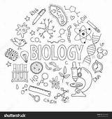 Deckblatt Biologie Ciencias Chemie Schule Biologia Zeichnen Doodle Caratulas Cuadernos Physik Doodles Caratula Naturales Decoracion Deckblätter Cuaderno Gezeichneter Vektor Eingestellt sketch template