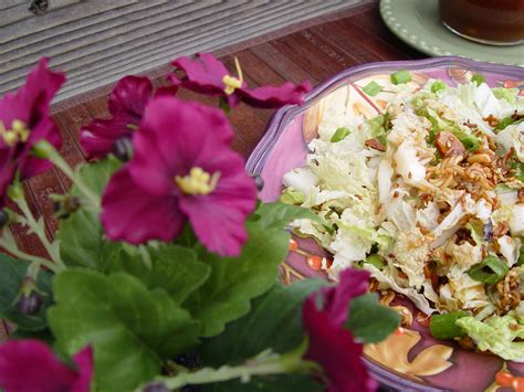 asian cabbage salad with ramen asian xxx videos
