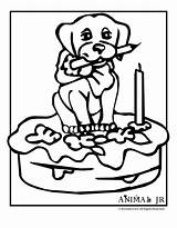 Coloring Birthday Pages Printable Puppy Cake Print Popular Animal Coloringhome Powered Results sketch template