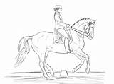 Dressage Horse Coloring Pages Horses Color Sketch Drawings Drawing Colouring Template Outline Printable Print Sketchite Deviantart Sketches Animal Choose Board sketch template