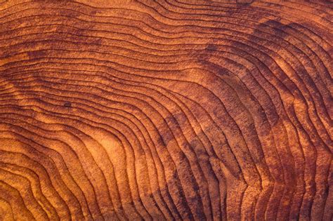close   redwood burl wood grain texture public policy institute